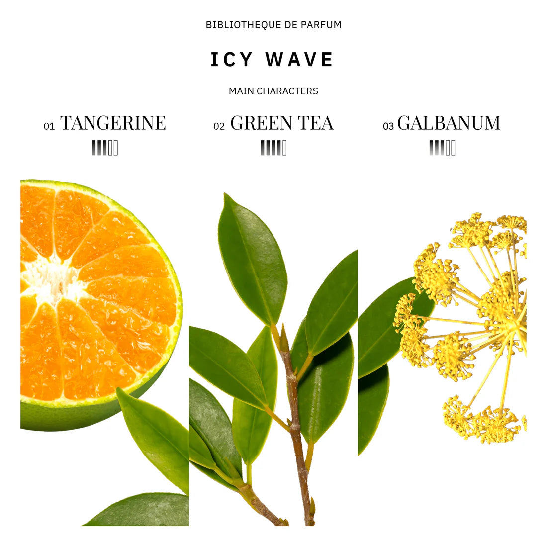 Woda perfumowana unisex Bibliotheque de Parfum Icy Wave