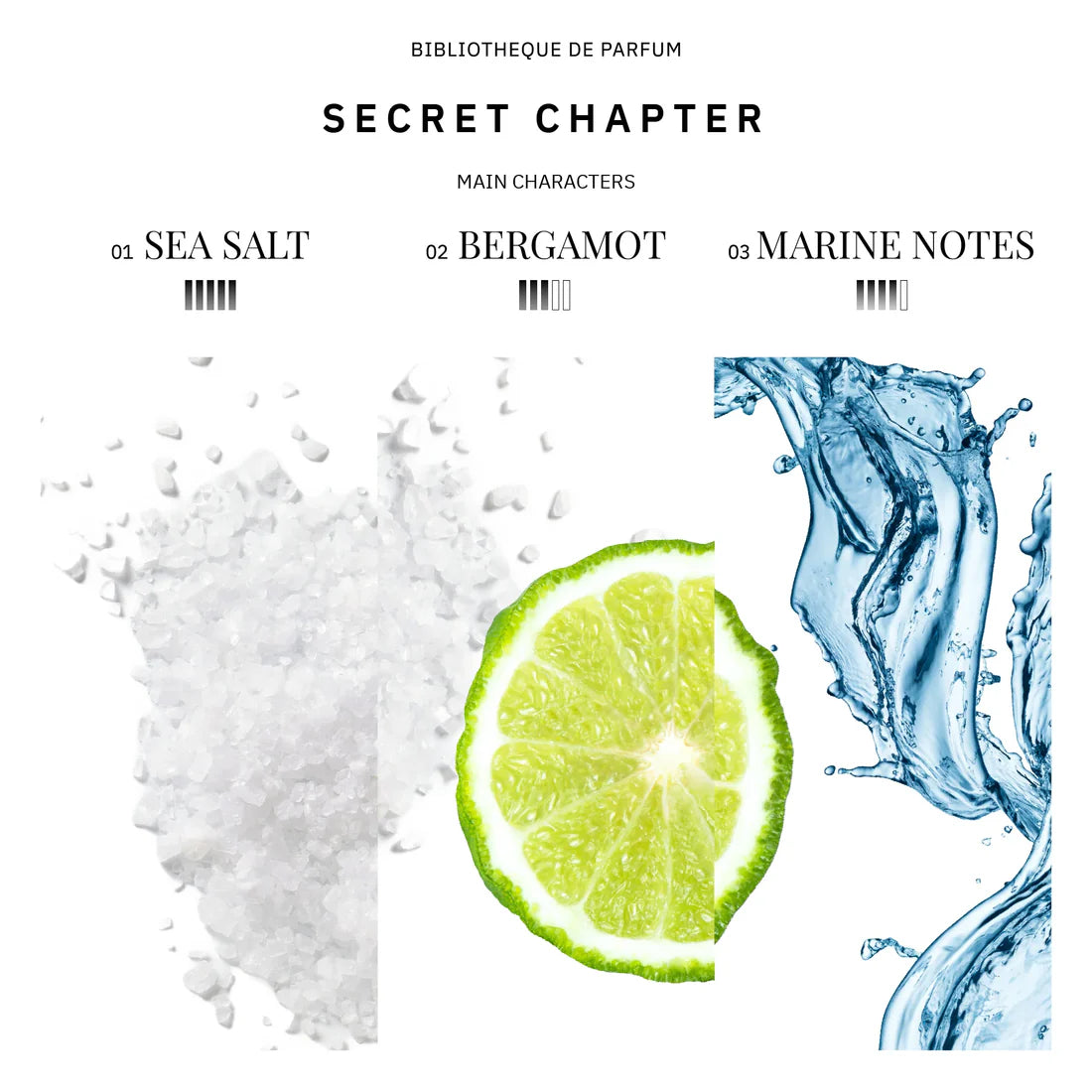 Woda perfumowana unisex Bibliotheque de Parfum Secret Chapter