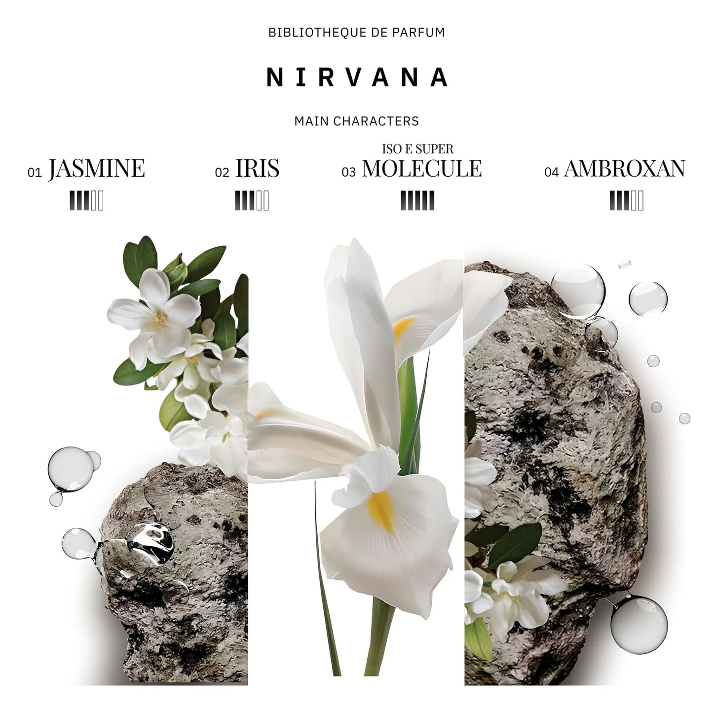 Woda perfumowana unisex Bibliotheque de Parfum Nirvana